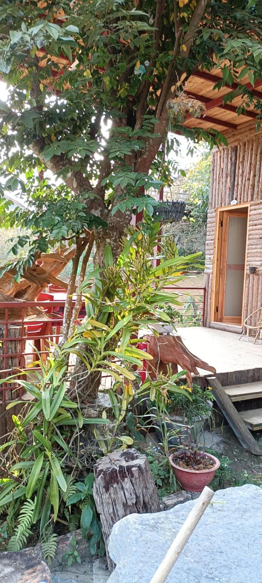 Moc'S House Hotel Bac Ha  Ngoại thất bức ảnh